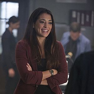 Photo Les Experts : Manhattan