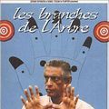 Photo Les Branches de l'arbre