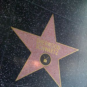 Photo Sherwood Schwartz