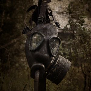 Photo Sons of Chaos