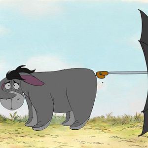 Photo Stephen J. Anderson