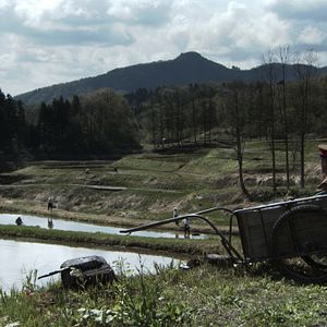 Photo Koji Wakamatsu