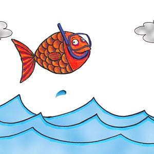 Photo Michaël Journolleau