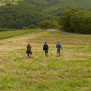 Photo Zacharie Chasseriaud