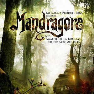 Photo Mandragore