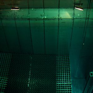 Photo Michael Madsen (II)