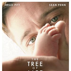 Photo The Tree of Life