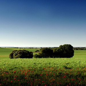 Photo Les Chemins de la mémoire