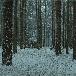 Photo Cold Prey 3