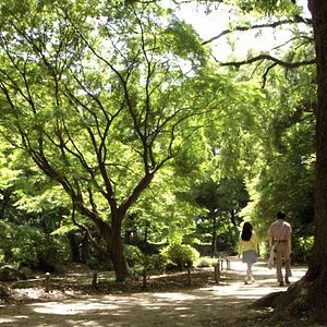 Photo La Ballade de l'Impossible - Norwegian Wood