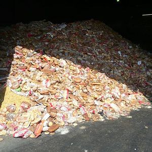 Photo Taste the Waste