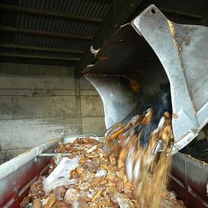 Photo Taste the Waste