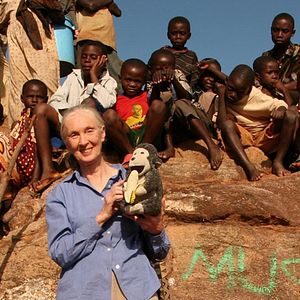 Photo Jane Goodall : retour à Gombe
