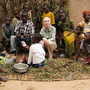Photo Jane Goodall : retour à Gombe