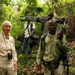 Photo Jane Goodall : retour à Gombe