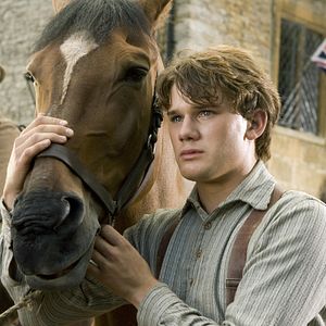 Photo Cheval de guerre