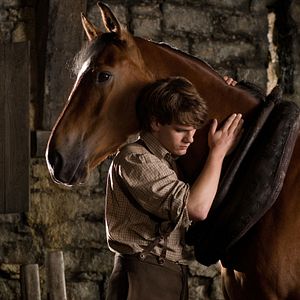 Photo Cheval de guerre