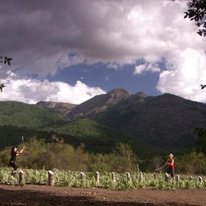 Photo Turistas