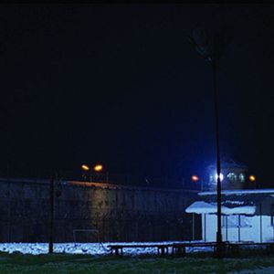 Photo Daniel Zirilli