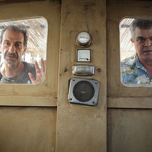 Photo Le cochon de Gaza
