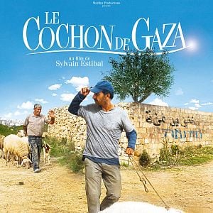 Photo Le cochon de Gaza