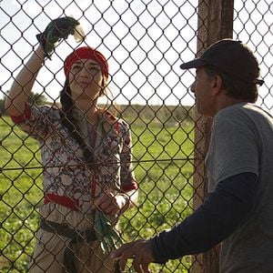 Photo Le cochon de Gaza