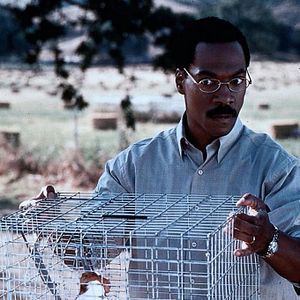 Photo Dr. Dolittle