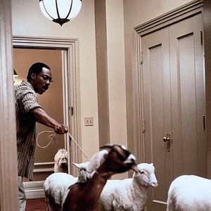 Photo Dr. Dolittle