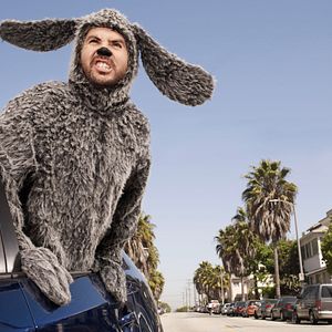 Photo Wilfred (2011)