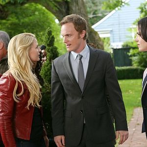 Photo David Anders