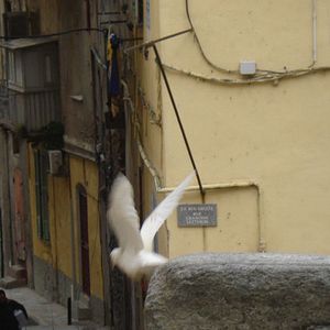 Photo Acqua in bocca