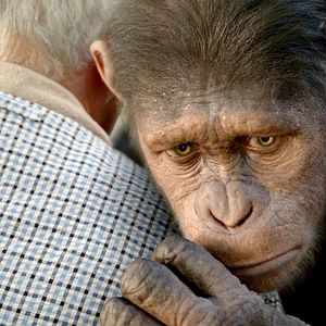 Photo La Planète des singes : les origines