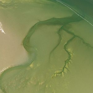 Photo Die Nordsee von oben