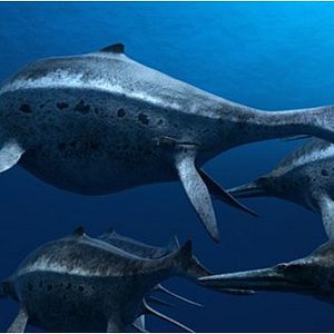 Photo Océanosaures 3D : Voyage au Temps des Dinosaures