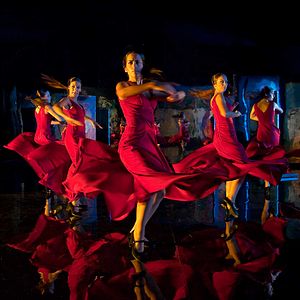 Photo Flamenco, Flamenco