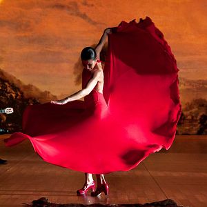 Photo Flamenco, Flamenco