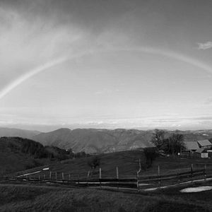 Photo Tout près du ciel