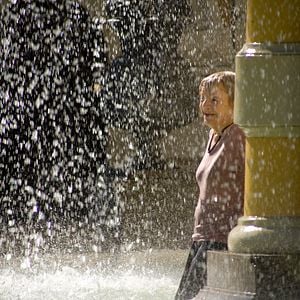 Photo Les Vieux chats