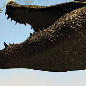Photo Mega Python vs. Gatoroid