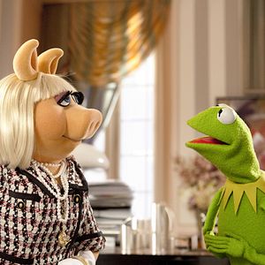 Photo Les Muppets, le retour