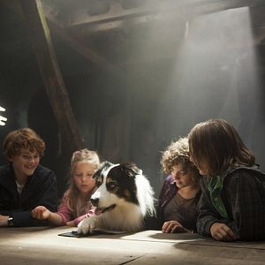 Photo Valeria Eisenbart