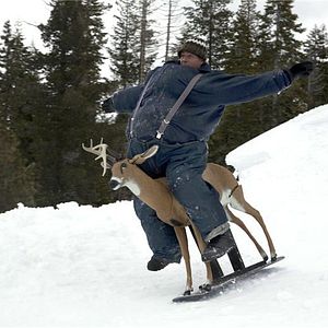 Photo Jackass 3.5