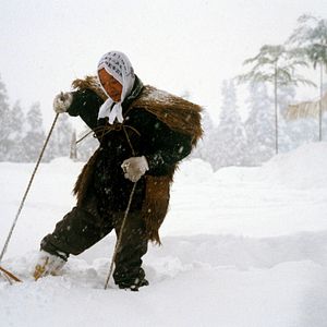 Photo Under Snow
