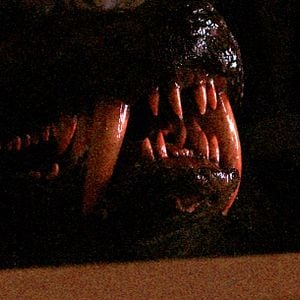 Photo Monsterwolf