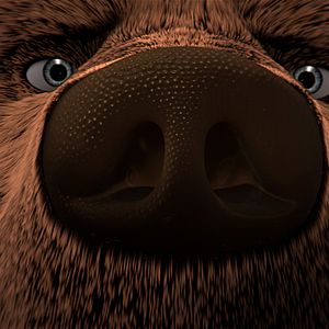 Photo L'Ours Montagne