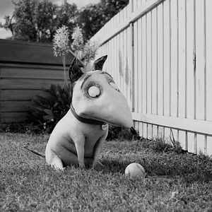 Photo Frankenweenie