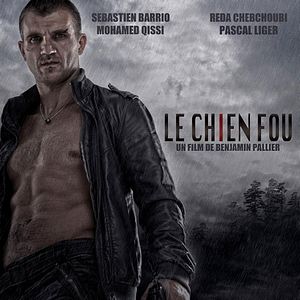 Photo Le chien fou