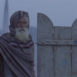 Photo Alms of the Blind Horse