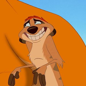 Photo Le Roi Lion
