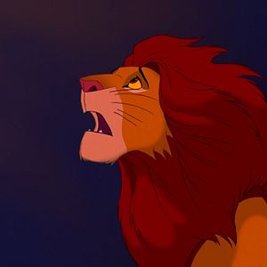 Photo Le Roi Lion